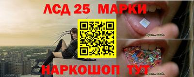 прущие грибы Аргун