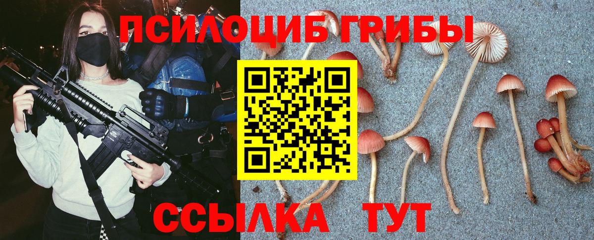 Псилоцибиновые грибы прущие грибы Курган