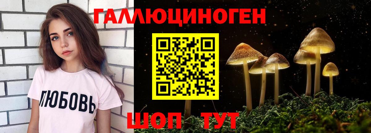 Галлюциногенные грибы MAGIC MUSHROOMS  Курган 